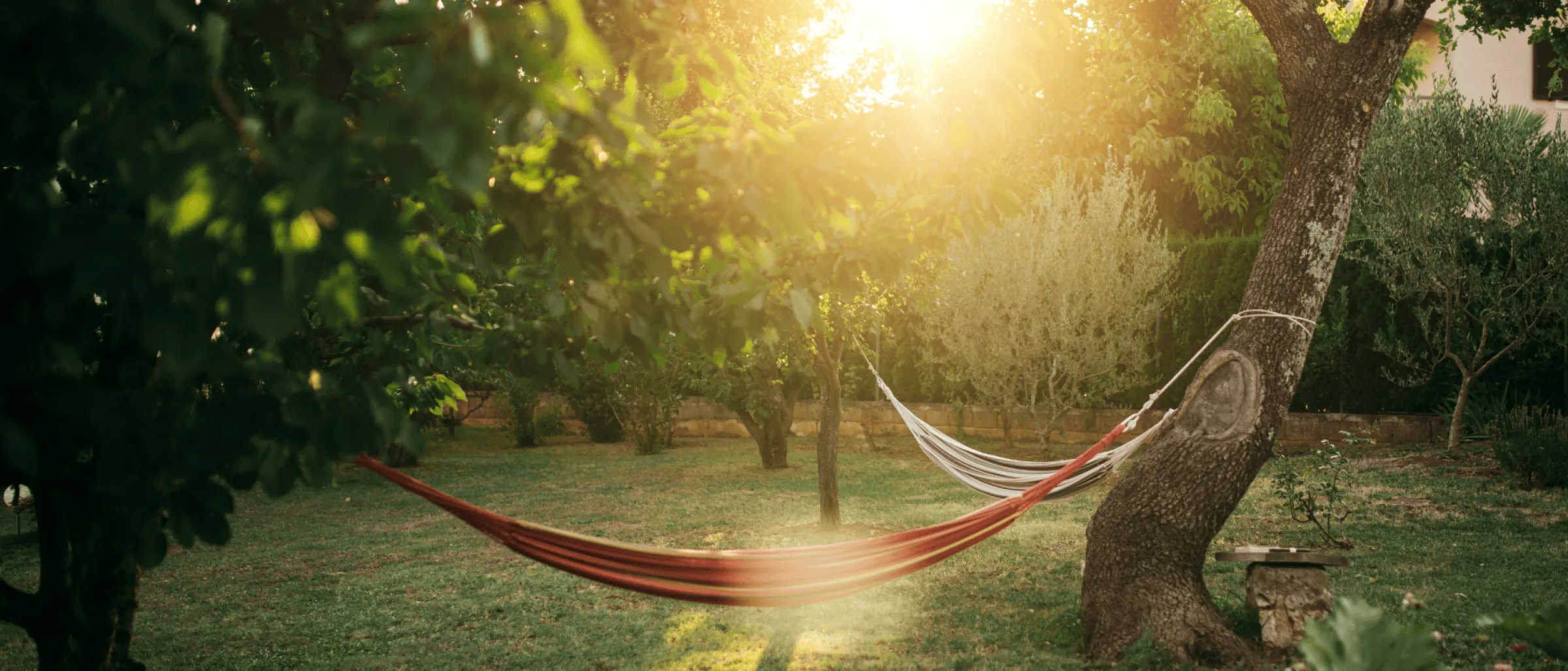 Das Symbolbild zeigt eine Hängematte zwischen Bäumen, im Hintergrund leuchtet die Sonne zwischen Blättern hindurch